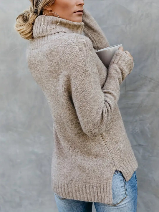 EB | Pullover mit Rollkragenpullover