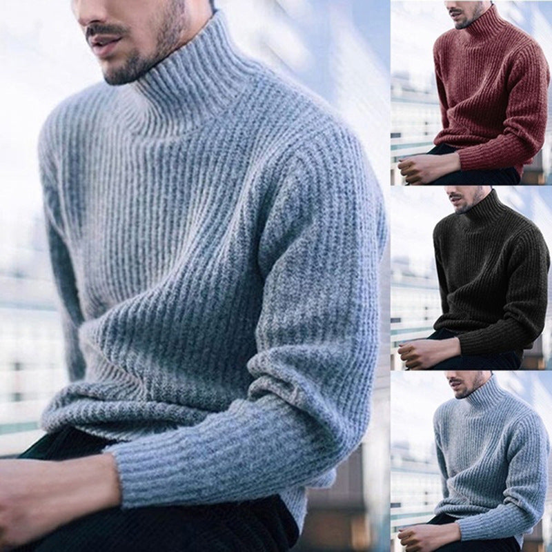 Herren Strickpullover mit hohem Kragen und feinem Rippmuster EB