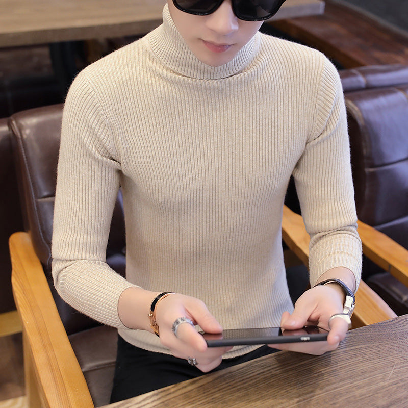 Herren Stehkragenpullover aus feinem Rippstrick EB