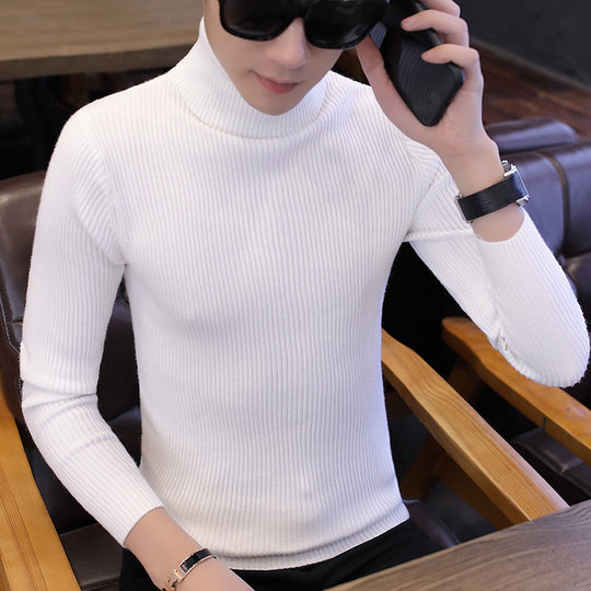 Herren Stehkragenpullover aus feinem Rippstrick EB