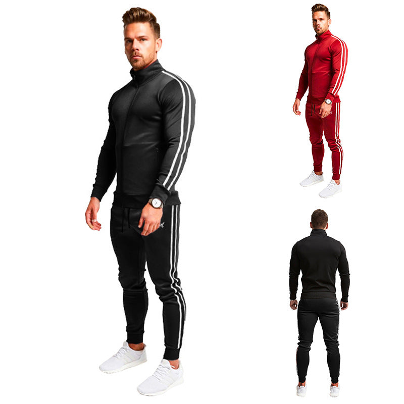 Herren Sportanzug mit Stehkragen und elastischen Bündchen EB