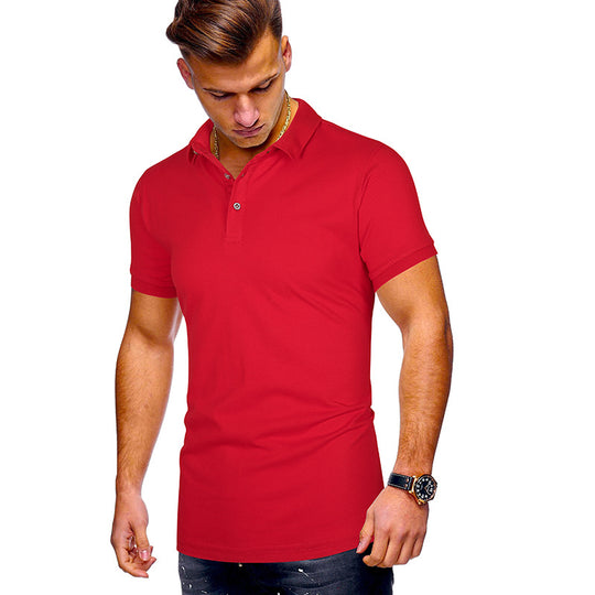 Herren Poloshirt mit hochwertigem Baumwollmix und modernem Stehkragen EB