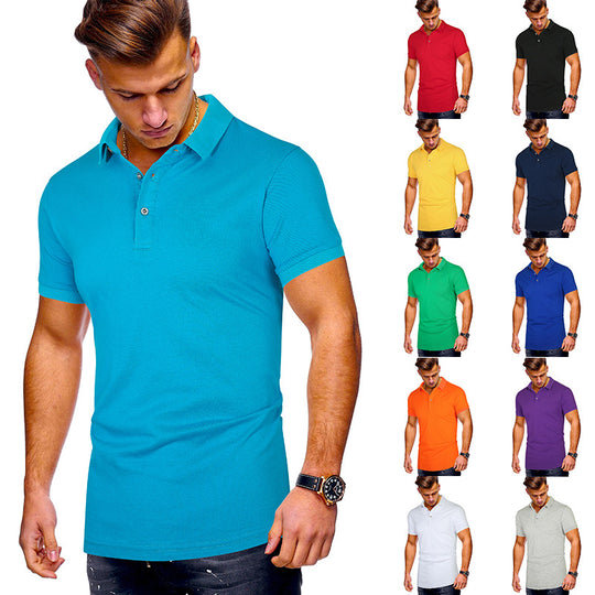 Herren Poloshirt mit hochwertigem Baumwollmix und modernem Stehkragen EB