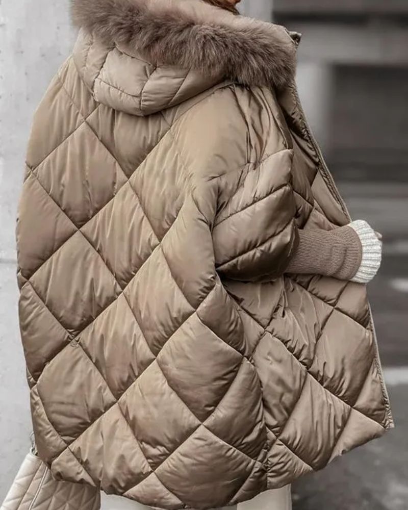 EB | Winter Zip Hooded Jacket