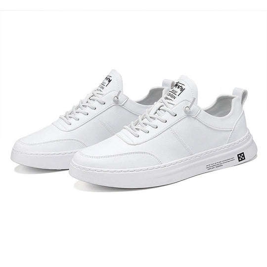 Atmungsaktive Herren-Sneaker EB