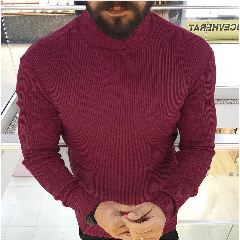 Herren Hochwertiger Strickrollkragenpullover EB