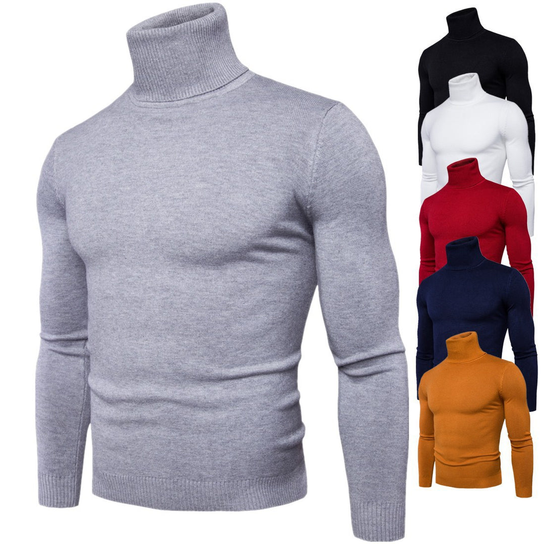Herren Rollkragenpullover aus weicher Merinowolle mit eleganter Struktur EB