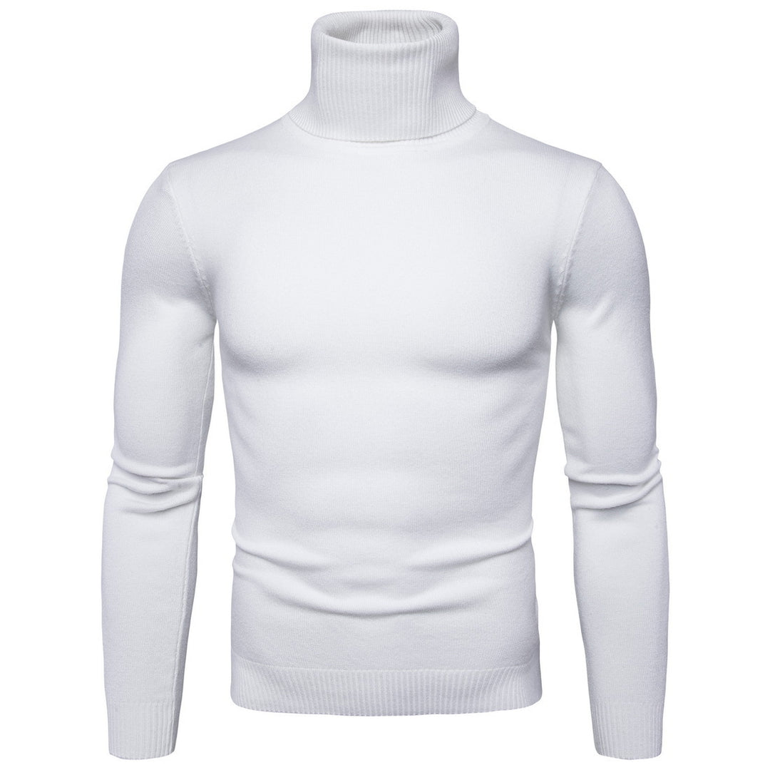 Herren Rollkragenpullover aus weicher Merinowolle mit eleganter Struktur EB