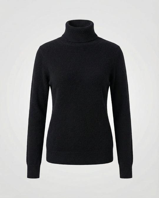 Weicher Rollkragenpullover Damen | EB