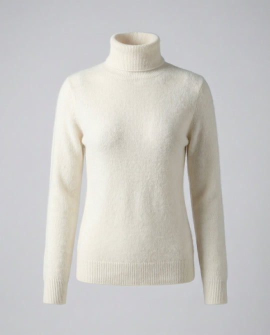 Weicher Rollkragenpullover Damen | EB