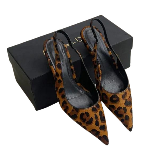 Leopard-Spitzentipps EB