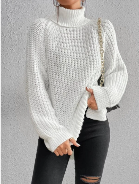 EB | Rollkragenpullover Übergroß