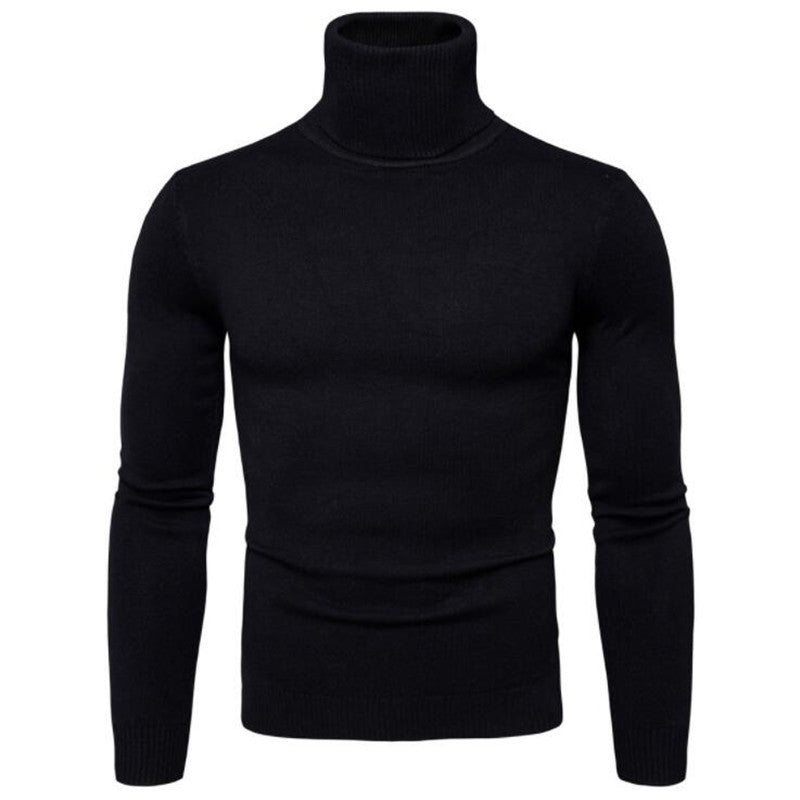 Herren Rollkragenpullover aus feinem Strick EB
