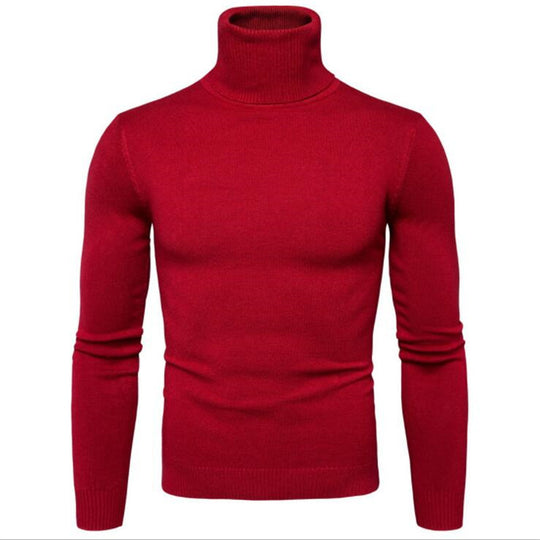 Herren Rollkragenpullover aus feiner Strickware EB