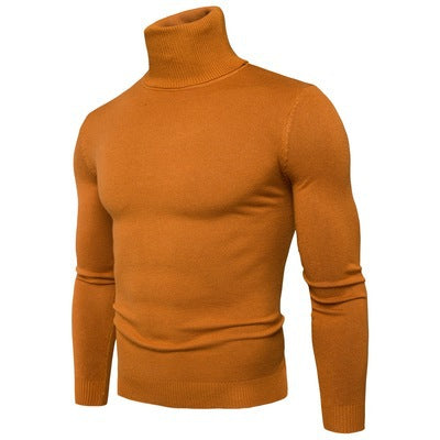 Herren Rollkragenpullover aus weicher Merinowolle mit eleganter Struktur EB
