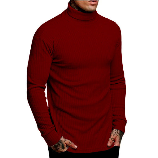 Herren modischer Rollkragenpullover EB