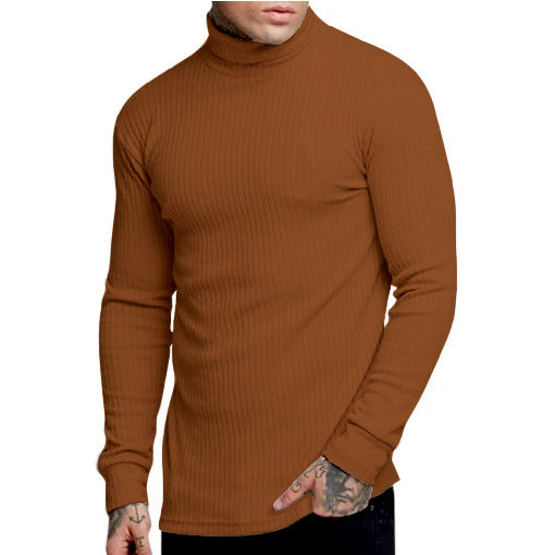 Herren modischer Rollkragenpullover EB
