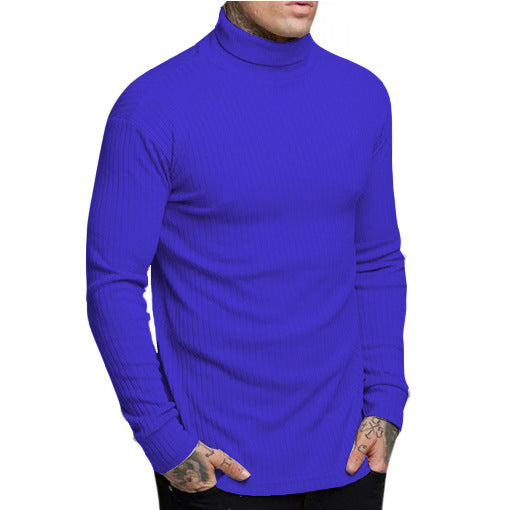 Herren modischer Rollkragenpullover EB