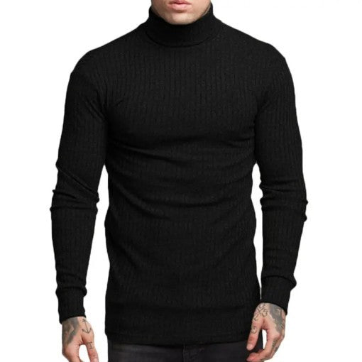 Herren modischer Rollkragenpullover EB