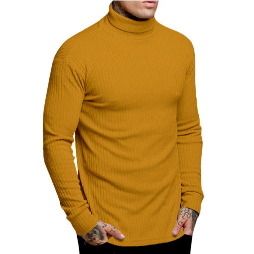 Herren modischer Rollkragenpullover EB