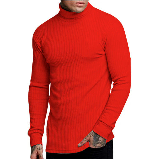 Herren modischer Rollkragenpullover EB