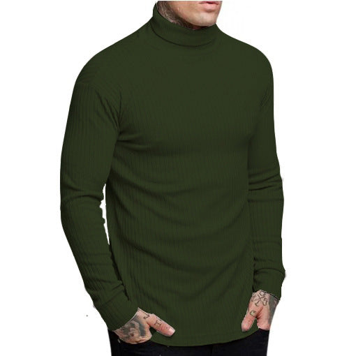 Herren modischer Rollkragenpullover EB