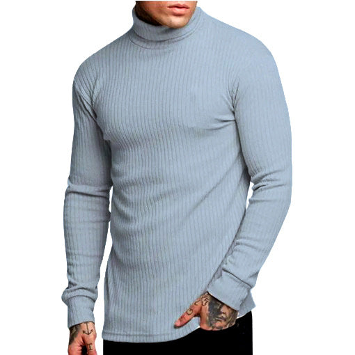 Herren modischer Rollkragenpullover EB