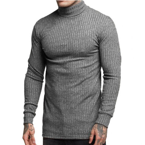 Herren modischer Rollkragenpullover EB