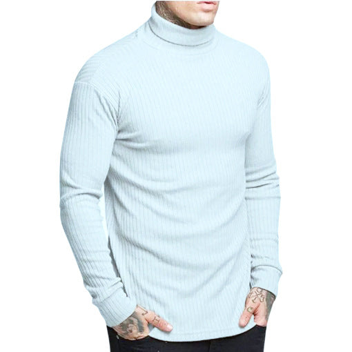 Herren modischer Rollkragenpullover EB