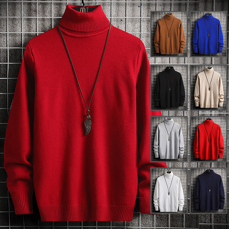 Herren Rollkragenpullover aus hochwertiger Strickware mit lässiger Passform EB
