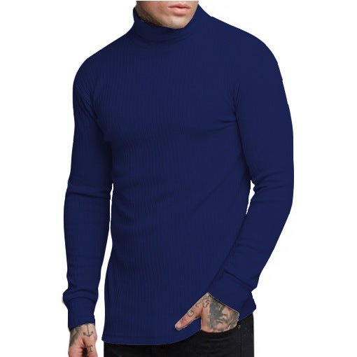 Herren modischer Rollkragenpullover EB