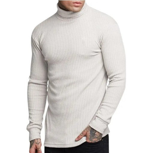 Herren modischer Rollkragenpullover EB