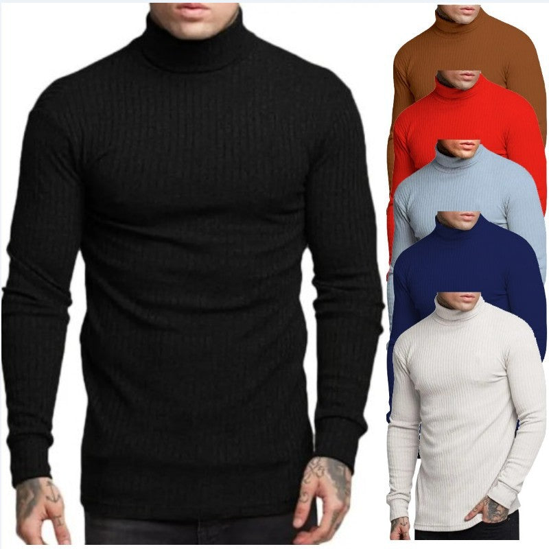 Herren modischer Rollkragenpullover EB