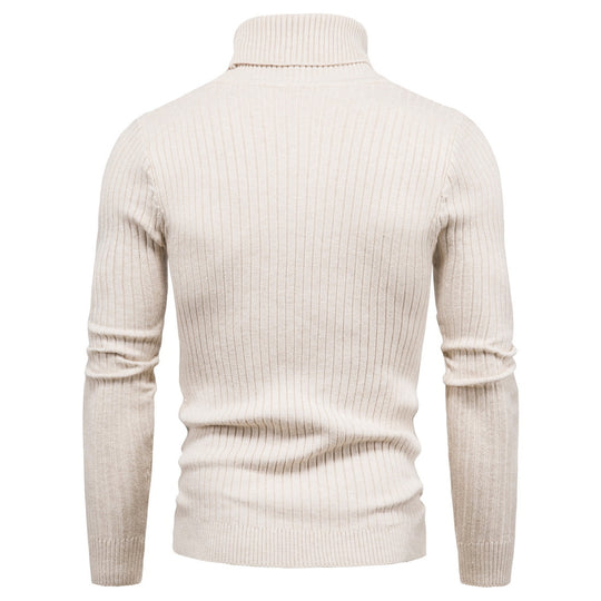 Damen Strickpullover mit Stehkragen und strukturiertem Zopfmuster EB