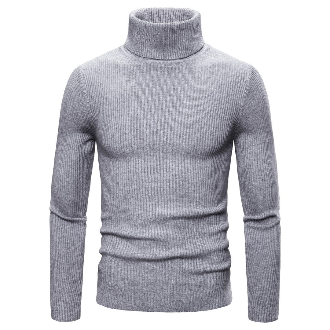 Herren modischer Rollkragenpullover aus hochwertigem Strick EB
