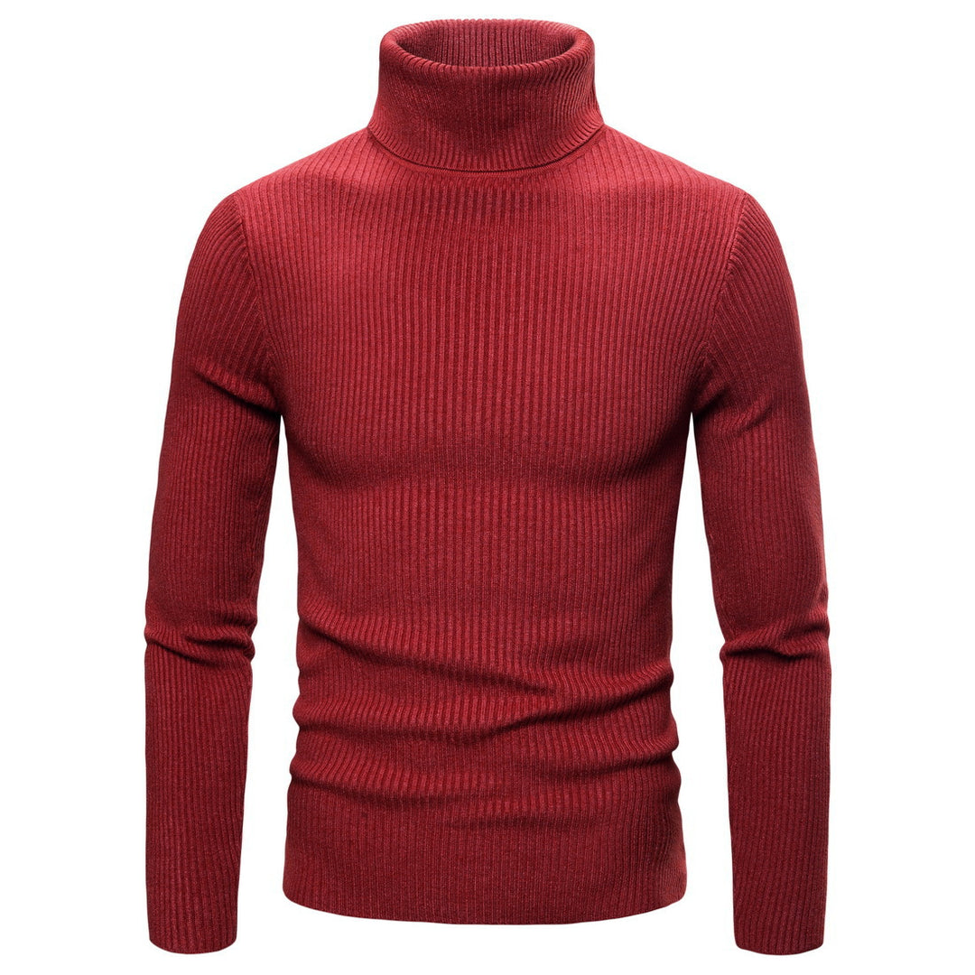 Herren modischer Rollkragenpullover aus hochwertigem Strick EB