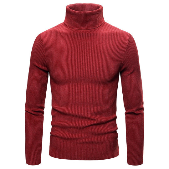 Herren modischer Rollkragenpullover aus hochwertigem Strick EB