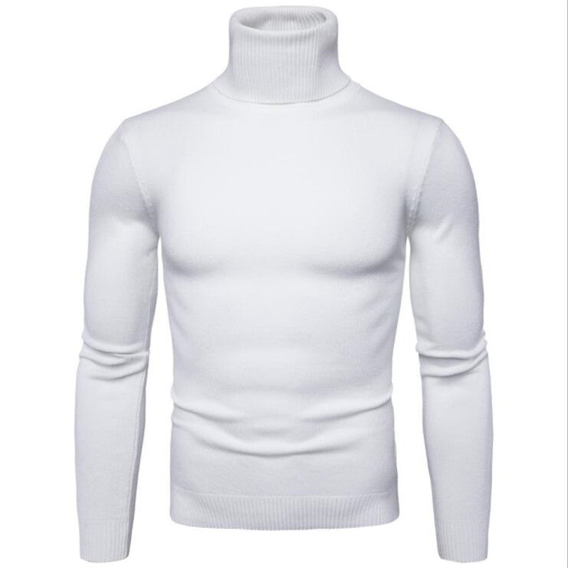 Herren Rollkragenpullover aus feinem Strick EB