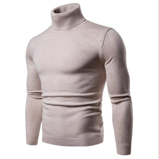Herren Rollkragenpullover aus feinem Strick EB