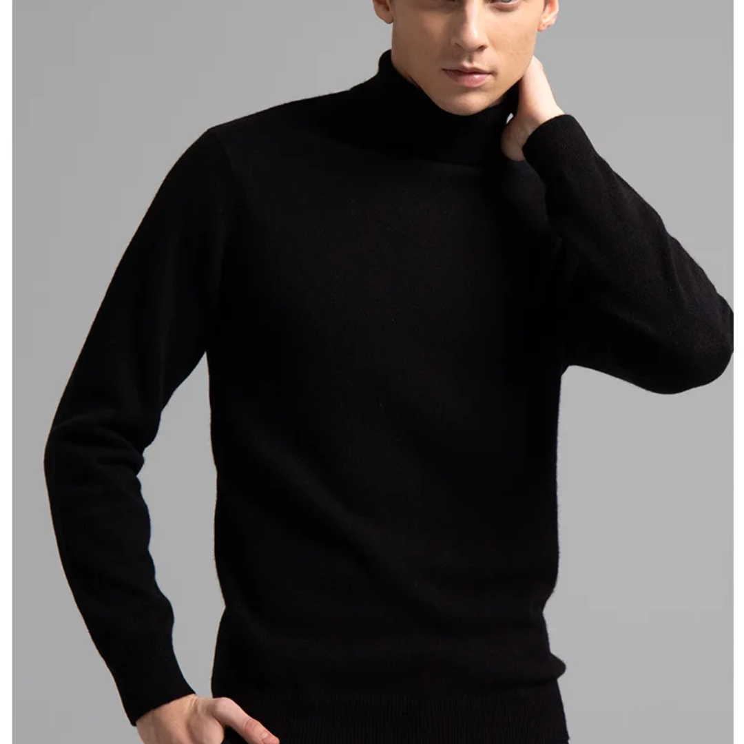 EB | Stilvolle Rollkragenpullover