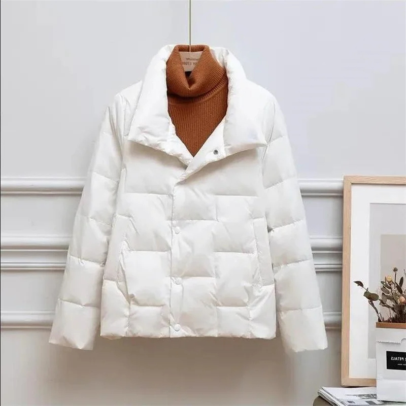 EB | Gequiltete Puffer - Rollkragen Pufferjacke