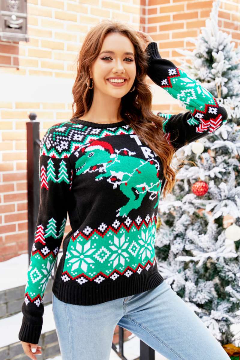 EB | WEIHNACHTS-DINOSAURIER STRICKPULLOVER
