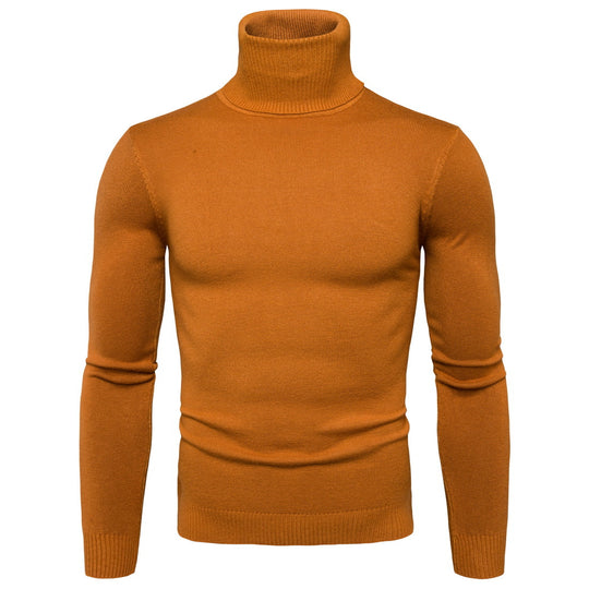 Herren Rollkragenpullover aus weicher Merinowolle mit eleganter Struktur EB