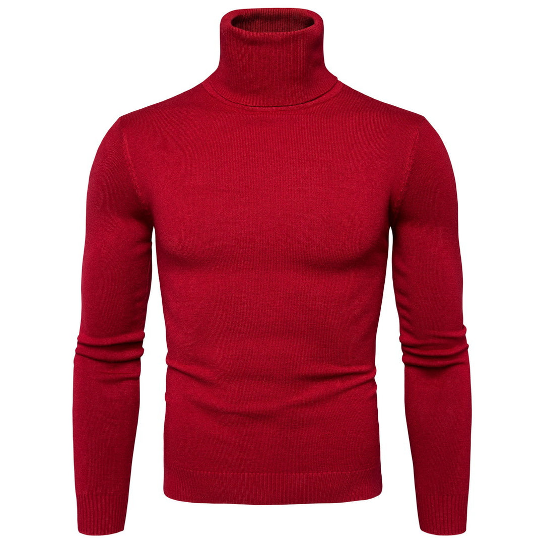 Herren Rollkragenpullover aus weicher Merinowolle mit eleganter Struktur EB