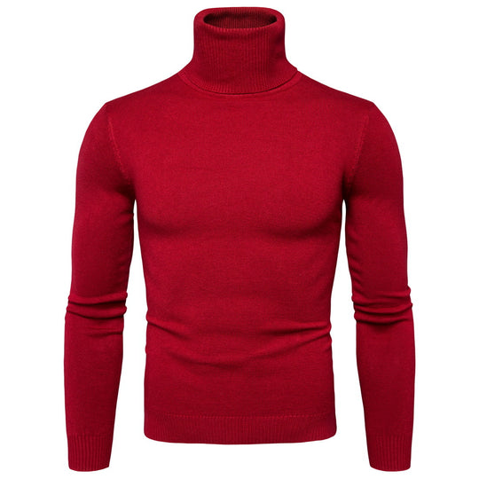 Herren Rollkragenpullover aus weichem Strick EB