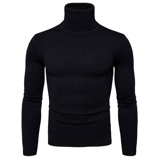 Herren Rollkragenpullover aus weichem Strick EB