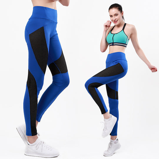 Damen Sportliche Leggings mit atmungsaktiven Mesh-Einsätzen und hohem Bund EB