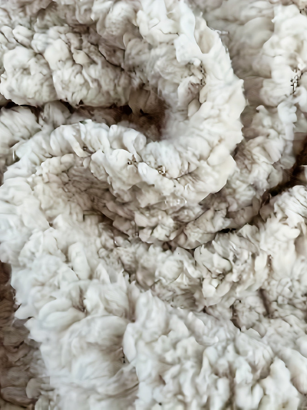 EB | Leichtgewicht Fleece-pullover mit Reißverschluss Polyester Warm und Bequem