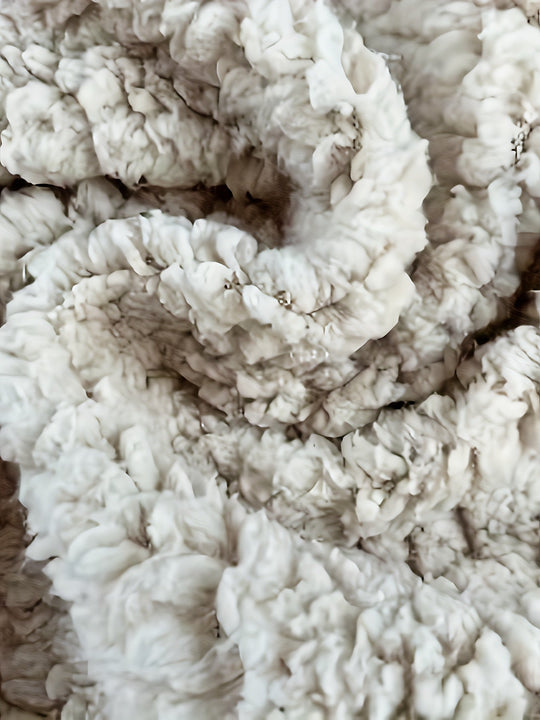 EB | Leichtgewicht Fleece-pullover mit Reißverschluss Polyester Warm und Bequem