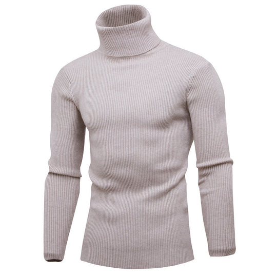 Herren Rollkragenpullover aus feinem Rippstrick EB